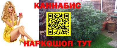 прущие крисы Мариинск