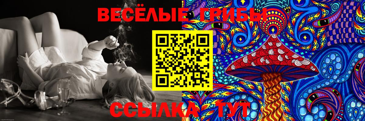 Галлюциногенные грибы MAGIC MUSHROOMS  Вход с VPN  Горячий Ключ 