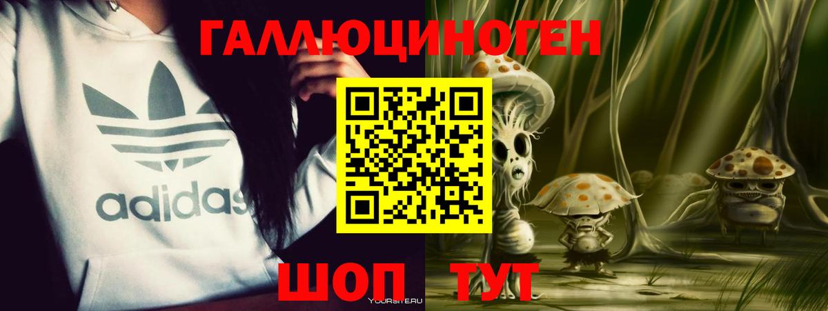 Псилоцибиновые грибы MAGIC MUSHROOMS Горячий Ключ